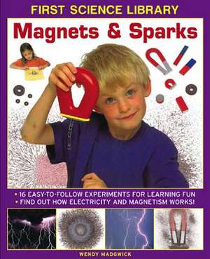 Magnets & Sparks: Find Out How Electricity and Magnetism Work! de Wendy Madgwick