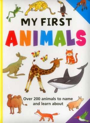 Armadillo: My First Animals