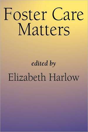 Foster Care Matters de Elizabeth Harlow