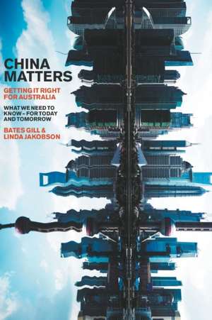 China Matters de Bates Gill