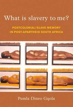 What Is Slavery to Me? de Pumla Dineo Gqola