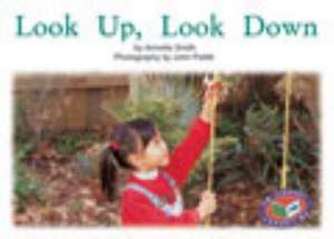 Look Up, Look Down PM Non Fiction Level 5/6 Maths Around Us Red de Annette Smith