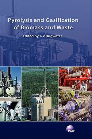 Pyrolysis and Gasification of Biomass and Waste de Anthony V. Bridgwater