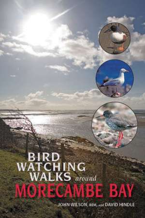 Birdwatching Walks Around Morecambe Bay de Reverend Dr John Wilson