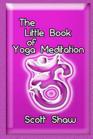 The Little Book of Yoga Meditation: Beyond the Buddha