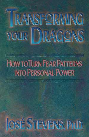 Transforming Your Dragons: How to Turn Fear Patterns into Personal Power de José Stevens Ph.D.