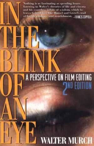 In the Blink of An Eye: New Edition de Walter Murch