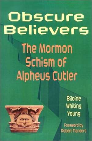Obscure Believers de Biloine Whiting Young