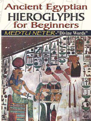 Ancient Egyptian Hieroglyphs for Beginners - Medtu Neter- Divine Words: Anunian Theology & the Mysteries of Ra de Muata Ashby