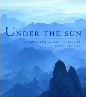 Under the Sun de Adriel Heisey