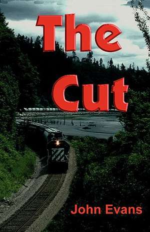 The Cut: Practical Hints on How to Avoid Mistakes in Design and Interpretation de John Evans