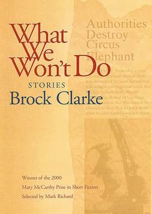 What We Won't Do: Stories de Brock Clarke