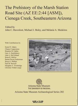 The Prehistory of the Marsh Station Road Site (AZ EE:2:44 [ASM]), Cienega Creek, Southeastern Arizona de John C. Ravesloot