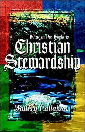 What in the World Is Christian Stewardship de Mallary Callahan