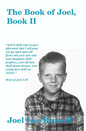 Book of Joel, Book II