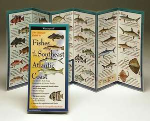 Fishes of the Southeast Atlantic Coast de Robert Shipp