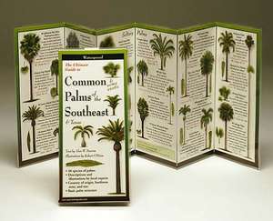 The Ultimate Guide to Common Palms of the Southeast & Texas de Alan W. Meerlow