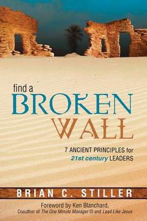 Find a Broken Wall de Brian Stiller