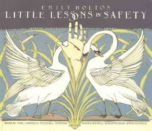 Little Lessons in Safety de Emily Holton