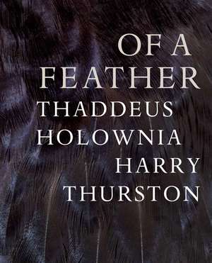 of a feather de Thaddeus Holownia