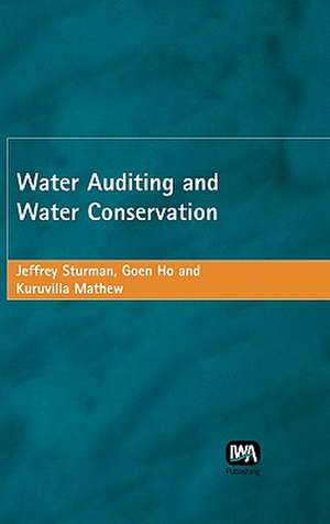 Water Auditing and Water Conservation de Jeffrey Sturman