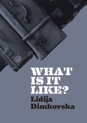 What Is It Like? de Lidija Dimkovska