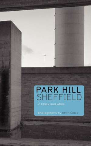 Park Hill Sheffield de Jeremy Till