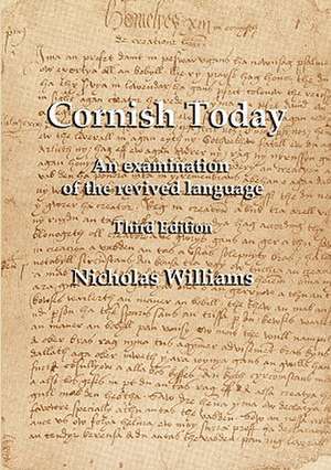 Cornish Today de Nicholas Williams