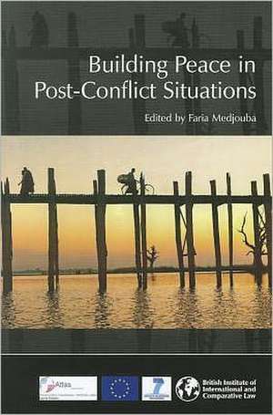 Building Peace in Post-Conflict Situations de Faria Medjouba