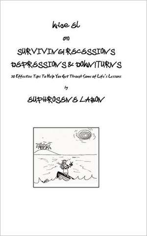 Surviving Recessions Depressions & Downturns: 30 Effective Tips to Help You Get Through Some of Life's Lessons