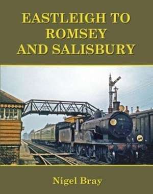 Eastleigh to Romsey and Salisbury de Nigel Bray