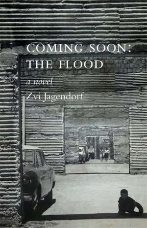 Coming Soon: The Flood de Zvi Jagendorf