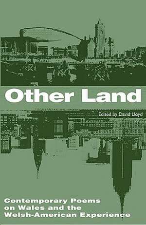 Other Land de David Lloyd