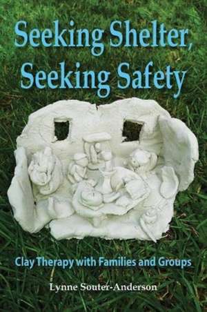 Seeking Shelter, Seeking Safety de Lynne Souter-Anderson