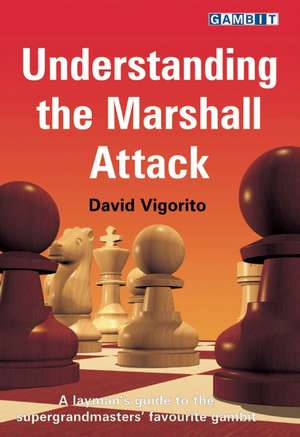 Understanding the Marshall Attack de David Vigorito