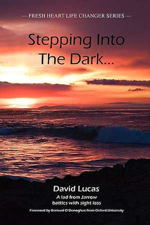 Stepping Into the Dark de DAVID LUCAS