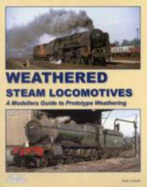 Weathered Steam Locomotives de Andy Small