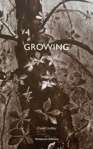 Growing de David Lindley