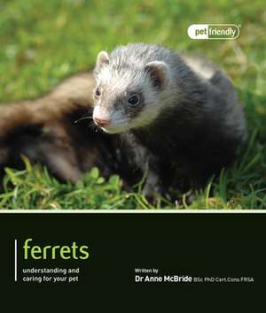 Ferrets: Understanding and Caring for Your Pet de Anne McBride