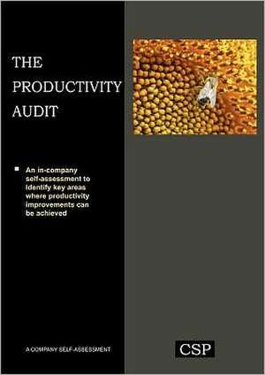 The Productivity Audit de Mark Spelman