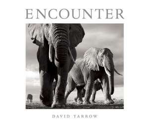 Encounter de David Yarrow