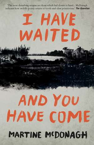 I Have Waited, and You Have Come de Martine McDonagh