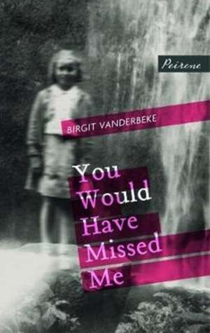 You Would Have Missed Me de Birgit Vanderbeke