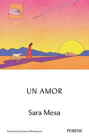 Un Amor de Sara Mesa