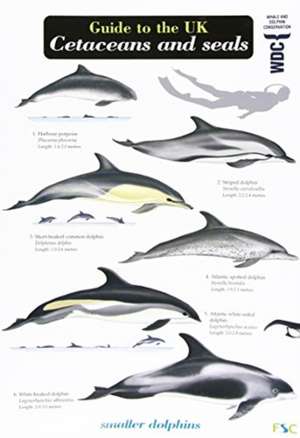 Guide to the UK Cetaceans and Seals de Mark Peter Simmonds