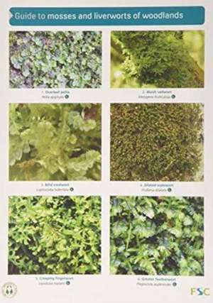 Guide to Mosses and Liverworts of Woodlands de Martin Godfrey