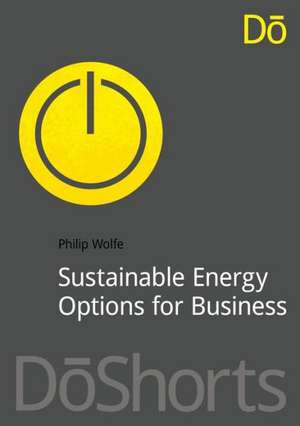 Sustainable Energy Options for Business de Philip Wolfe