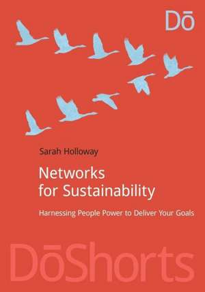 Networks for Sustainability: Harnessing people power to deliver your goals de Sarah Holloway