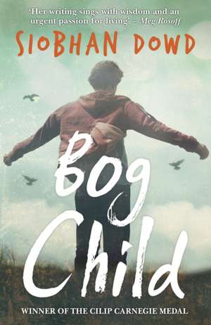 Bog Child de Siobhan Dowd