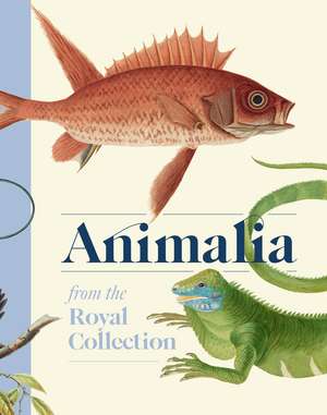 Animalia de Andrew Brown